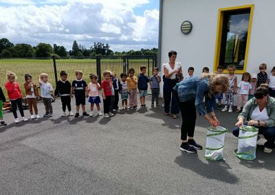 Des papillons à l’école Sainte-Marie